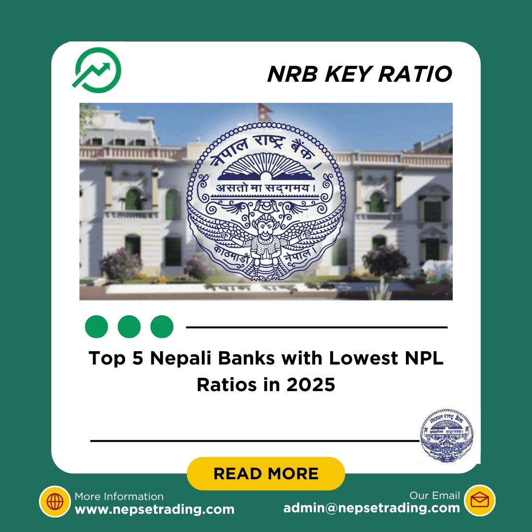 How Net NPL Reflects the Real Health of Banks
