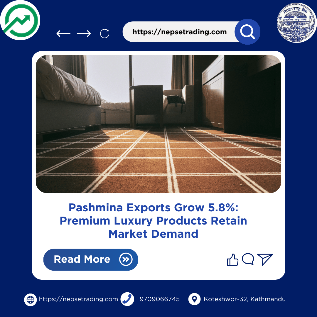 Pashmina Exports Grow 5.8%: Premium Luxury Products Retain Market Demand