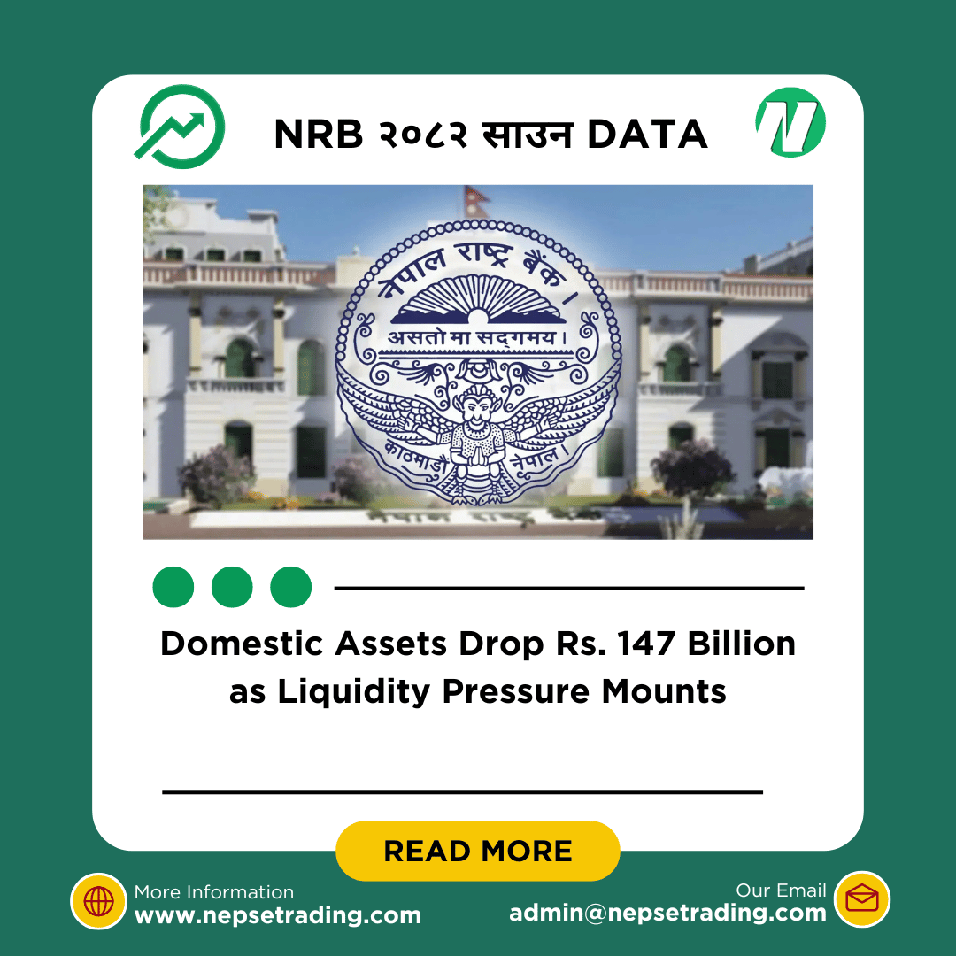 Domestic Assets Drop Rs. 147 Billion as Liquidity Pressure Mounts