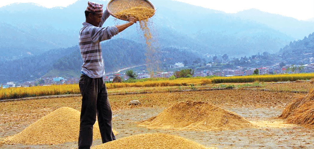 Nepal Must Reduce Production Costs to Compete in the International Market