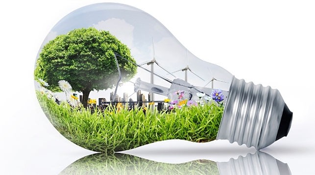 Green Economy Emerges as Central Election Agenda as Parties Compete Over Forest-Based Prosperity Plans