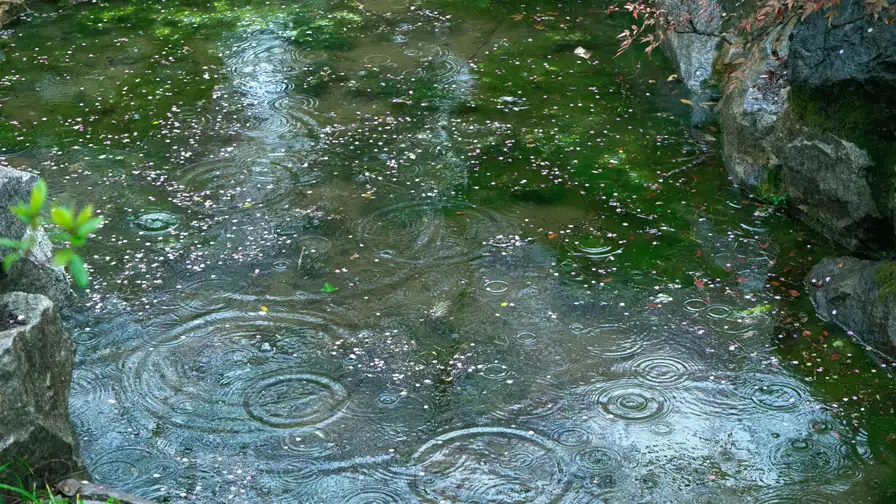 Incessant Rains Paralyze Nepal's Road Networks: Narayangadh-Muglin Closed, Night Travel Banned Across Hilly Terrains