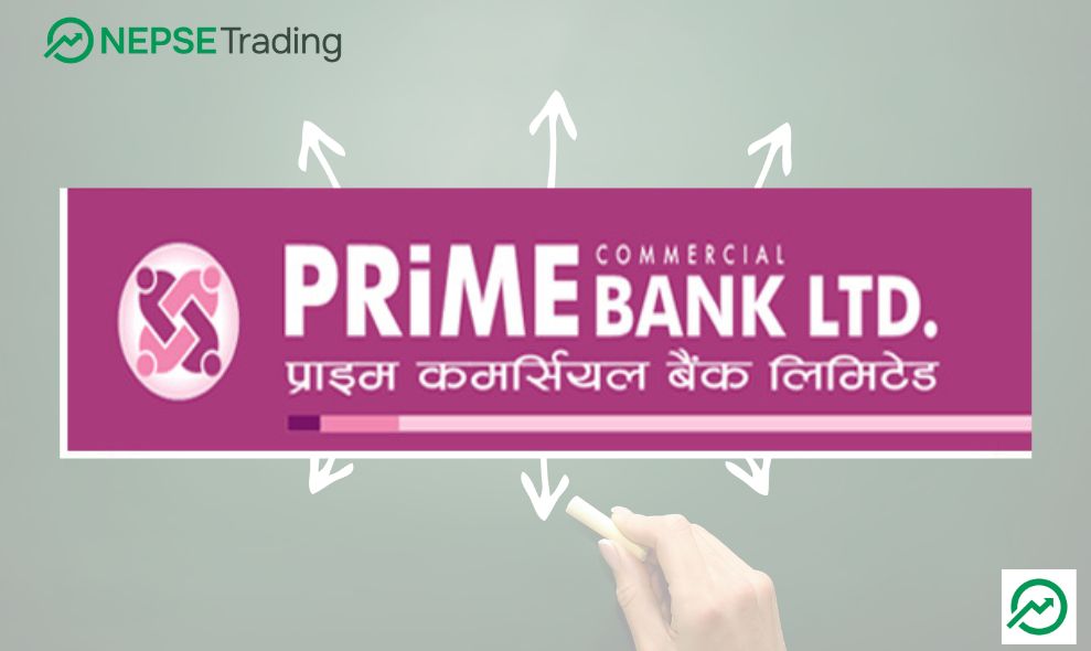 प्राइम कमर्सियल बैंकले संस्थापक सेयर लिलाम बिक्रीमा राख्यो