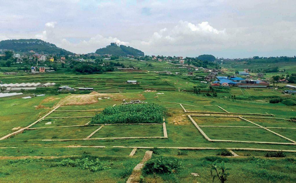 घरजग्गा कारोबार घट्यो, तर राजस्वमा ८ प्रतिशत वृद्धि