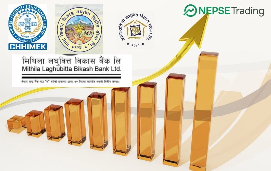 नयाँ सर्कुलर: यी लघुवित्तलाई हुने छ ठुलो फाइदा